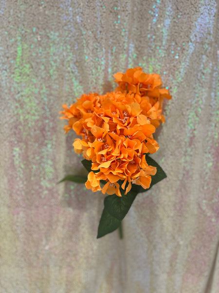 Bouquet d’hydrangée-Orange