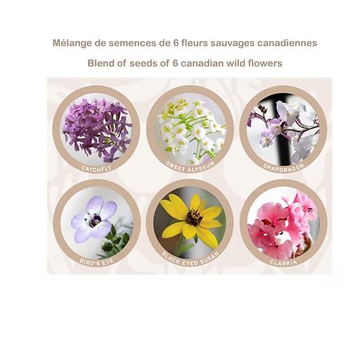 Carte de souhaits ensemencés-Bicyclettes