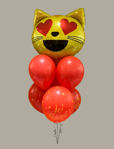 Bouquet de ballons- Chat