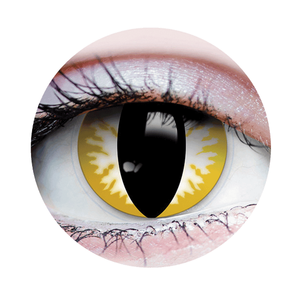 Lentilles de contact-Thriller